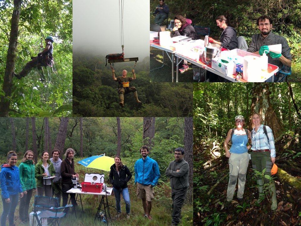 LabexCOTE_CVacher_14_12_17